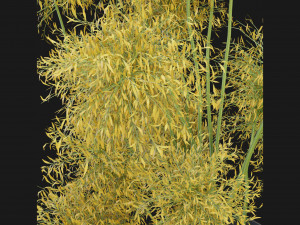 Collection Plant Vol 187 - Blender Model 3Dモデル