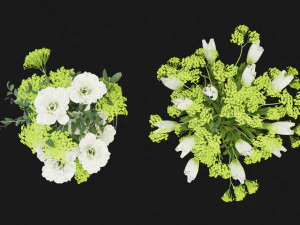 Collection Plant Vol 189 - Blender Model 3D Model