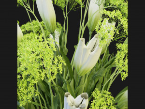 Collection Plant Vol 189 - Blender Model Model 3D