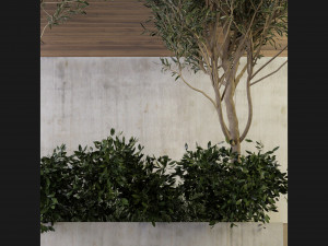 Collection Plant Vol 196 - Blender Model 3D Model