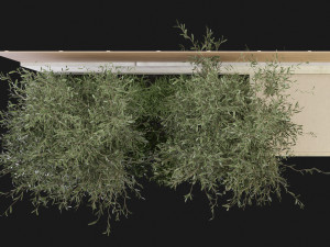 Collection Plant Vol 196 - Blender Model 3D Model
