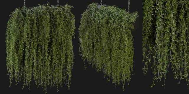 Collection Plant Vol 202 - Blender Model Modelo 3D .c4d .max .obj .3ds .fbx .stl .blend 