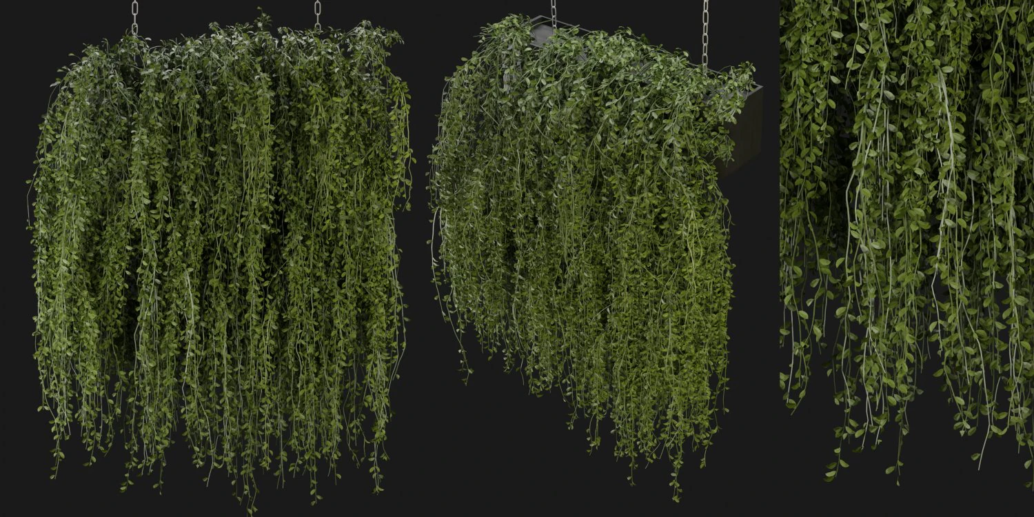 Collection Plant Vol 202 - Blender Model 3D Model .c4d .max .obj .3ds .fbx .stl .blend 