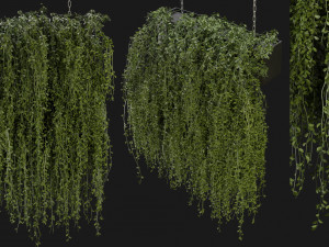 Collection Plant Vol 202 - Blender Model Modelo 3D