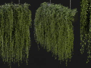 Cole&ccedil;&atilde;o Planta Vol 202 - Modelo Blender Modelo 3D