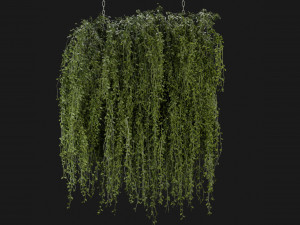 Collection Plant Vol 202 - Blender Model Modelo 3D