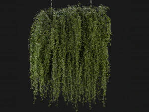 Collection Plant Vol 202 - Blender Model 3D Model
