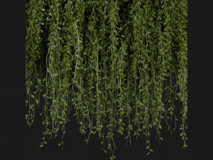 Collection Plant Vol 202 - Blender Model Modelo 3D