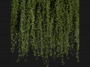 Collection Plant Vol 202 - Blender Model 3D Model