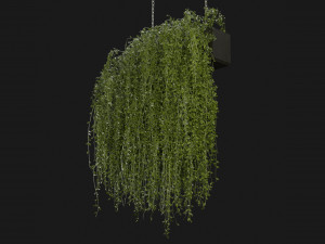 Collection Plant Vol 202 - Blender Model Modelo 3D