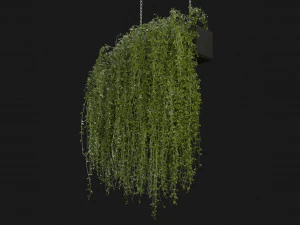 Collection Plant Vol 202 - Blender Model 3D Model
