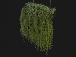 Collection Plant Vol 202 - Blender Model Modelo 3D