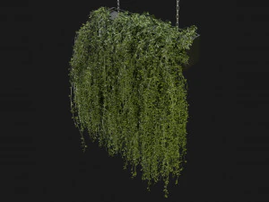 Collection Plant Vol 202 - Blender Model 3D Model