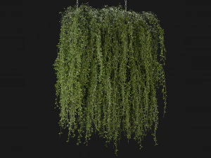 Collection Plant Vol 202 - Blender Model 3D Model