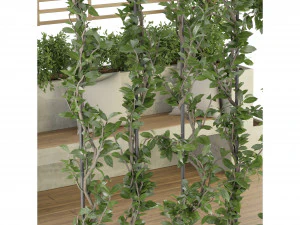 Collection Plant Vol 205 - Blender Model 3D Model