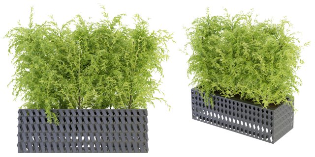 Collection Plant Vol 206 - Blender Model 3D Model .c4d .max .obj .3ds .fbx .stl .blend 