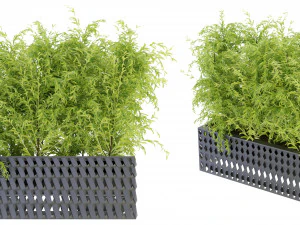 Cole&ccedil;&atilde;o Planta Vol 206 - Modelo Blender Modelo 3D