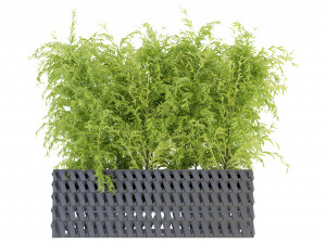Collection Plant Vol 206 - Blender Model 3D Model