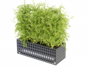 Collection Plant Vol 206 - Blender Model 3D Model