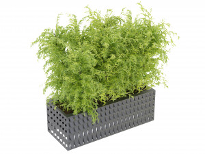 Collection Plant Vol 206 - Blender Model 3D Model