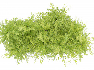 Collection Plant Vol 206 - Blender Model 3D Model