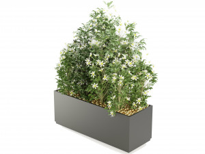 Collection Plant Vol 207 - Blender Model 3D 模型