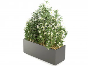 Collection Plant Vol 207 - Blender Model 3D Model