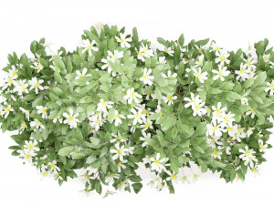 Collection Plant Vol 207 - Blender Model 3D Model