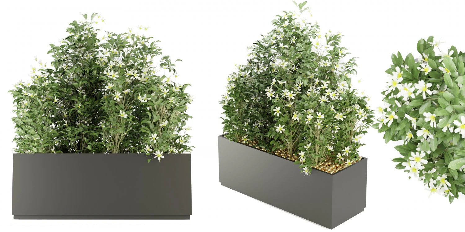 Collection Plant Vol 207 - Blender Model 3D Model .c4d .max .obj .3ds .fbx .stl .blend 