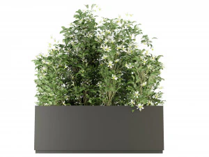 Collection Plant Vol 207 - Blender Model 3D Model