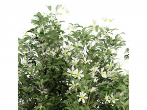 Collection Plant Vol 207 - Blender Model 3D 模型