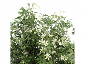 Collection Plant Vol 207 - Blender Model 3D Model