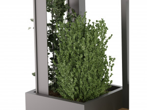 Collection Plant Vol 211 - Blender Model 3D 模型