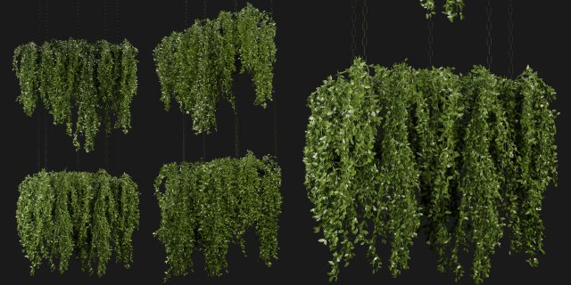 Collection Plant Vol 213 - Blender Model 3Dモデル .c4d .max .obj .3ds .fbx .stl .blend 