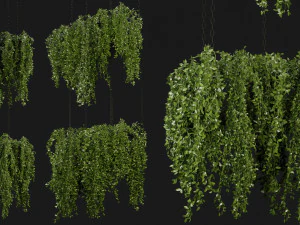 Cole&ccedil;&atilde;o Plant Vol 213 - Modelo Blender Modelo 3D