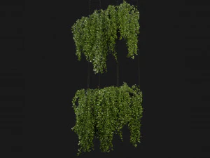 Collection Plant Vol 213 - Blender Model 3D Model