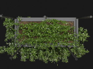 Collection Plant Vol 213 - Blender Model 3Dモデル