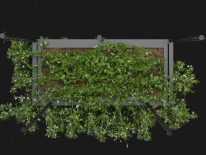 Collection Plant Vol 213 - Blender Model 3D Model