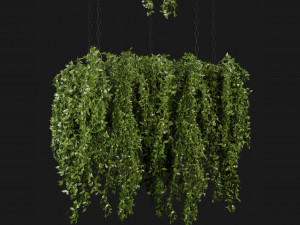 Collection Plant Vol 213 - Blender Model 3Dモデル