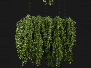 Collection Plant Vol 213 - Blender Model 3D Model