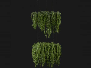 Collection Plant Vol 213 - Blender Model 3D Model
