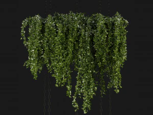 Collection Plant Vol 213 - Blender Model 3D Model