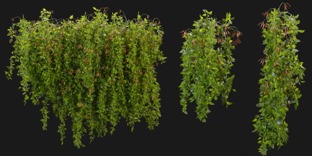 Collection Plant Vol 221 - Blender Model 3Dモデル .c4d .max .obj .3ds .fbx .stl .blend 