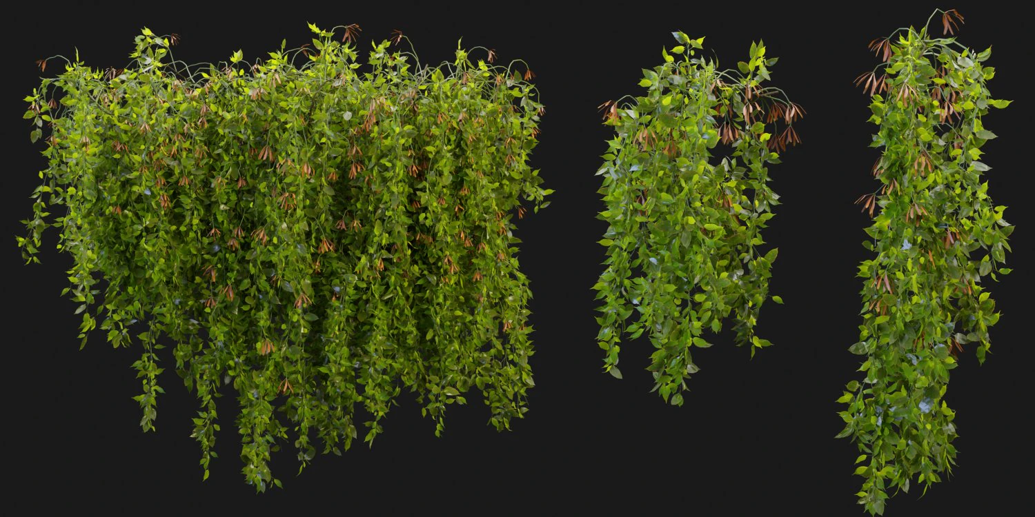 Collection Plant Vol 221 - Blender Model 3D Model .c4d .max .obj .3ds .fbx .stl .blend 