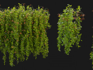 Collection Plant Vol 221 - Blender Model 3Dモデル