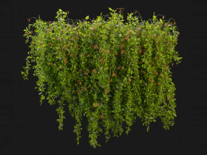 Collection Plant Vol 221 - Blender Model 3D Model