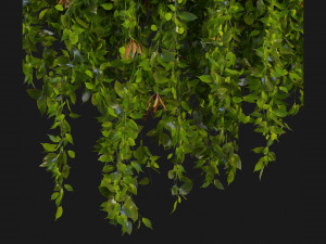 Collection Plant Vol 221 - Blender Model 3Dモデル