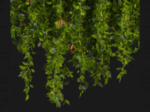 Collection Plant Vol 221 - Blender Model 3D Model