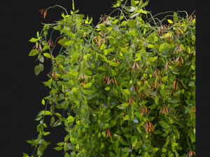 Collection Plant Vol 221 - Blender Model 3D Model