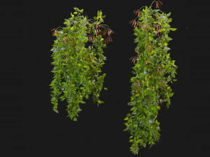 Collection Plant Vol 221 - Blender Model 3D Model